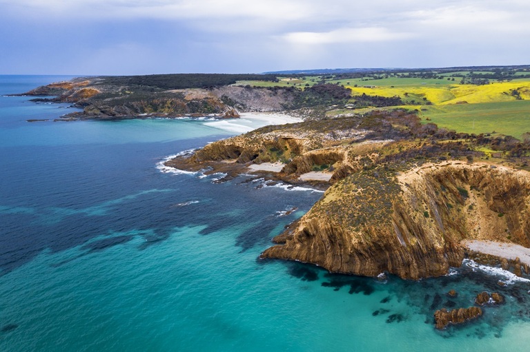 Kangaroo island 