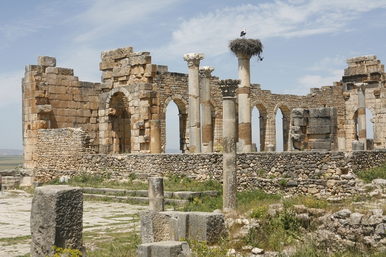 Volubilis Volubilis