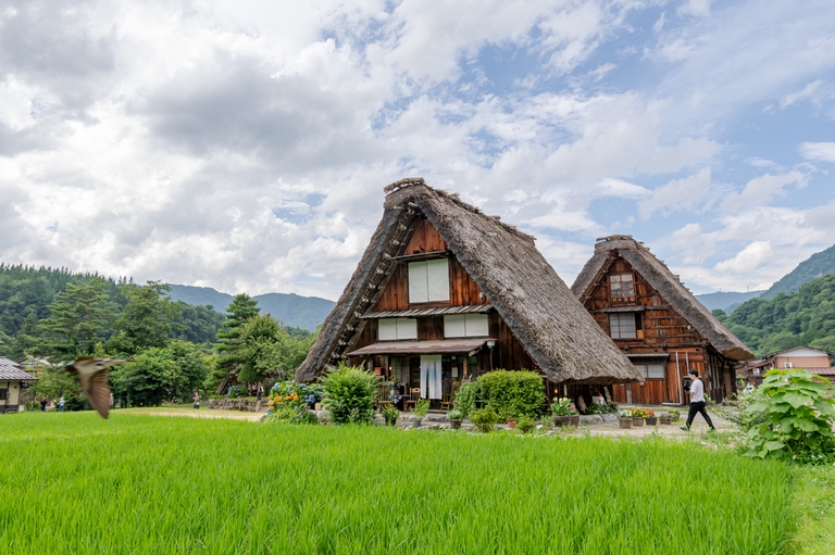 Shirakawago