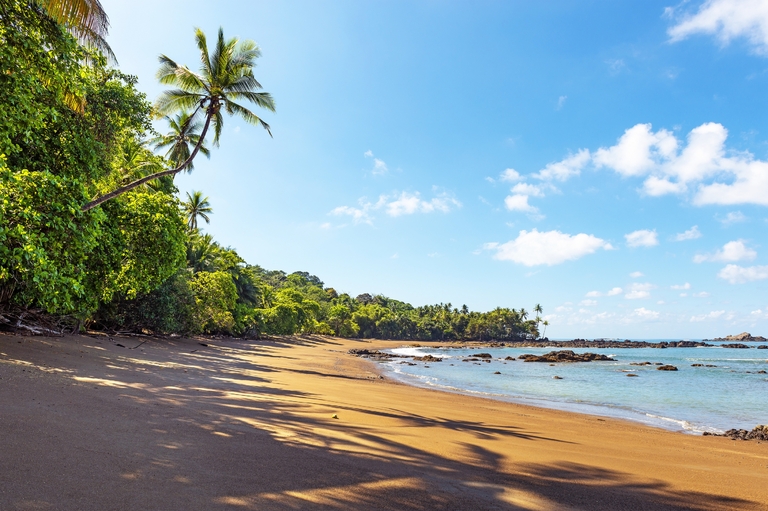 Strand Corcovado nationaal park Costa Rica