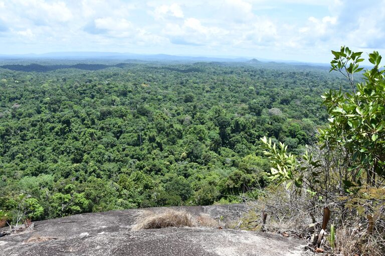 Uitzicht Fredberg Suriname