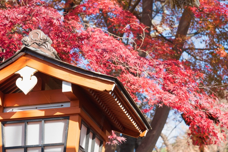 Herfstkleuren tempel Japan