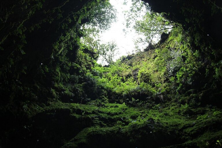 Algar do Carvao grot Terceira Djoser