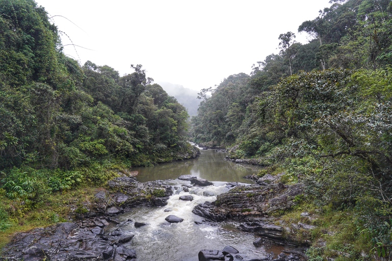 ranomafana np madagaskar