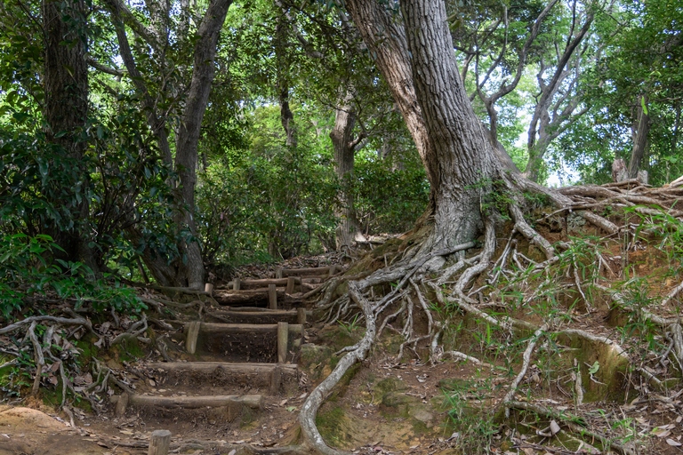 Daibutsu hiking trail Kamakura Japan