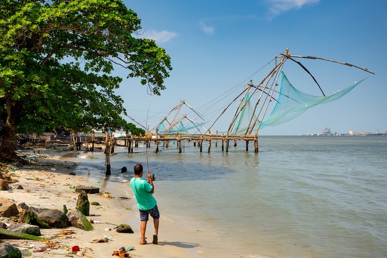 Chinese visnetten Coching Kochi India