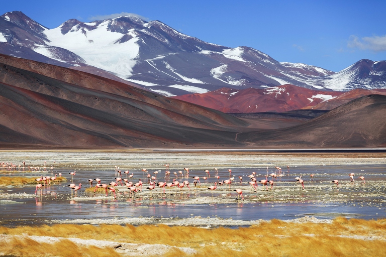 Catamarca Argentinië