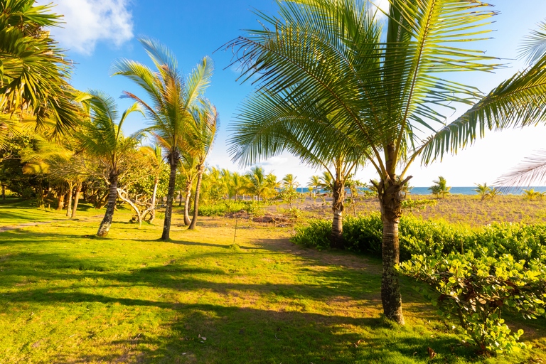 Barqueta strand Panama