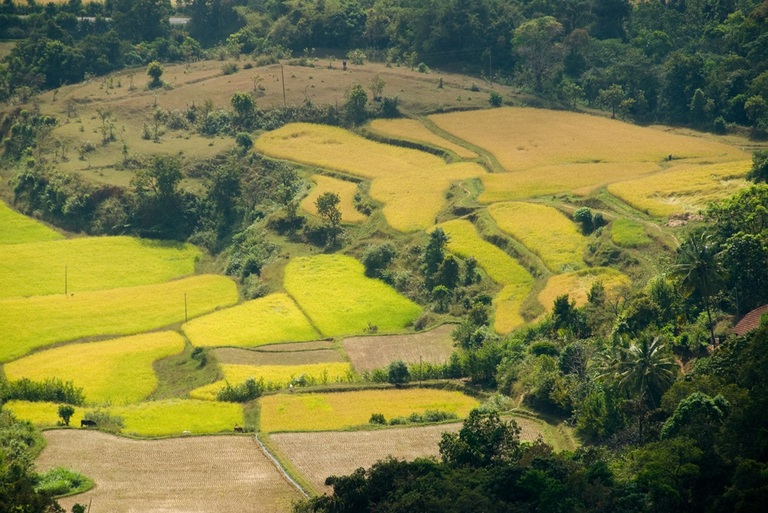 Coorg landschap India