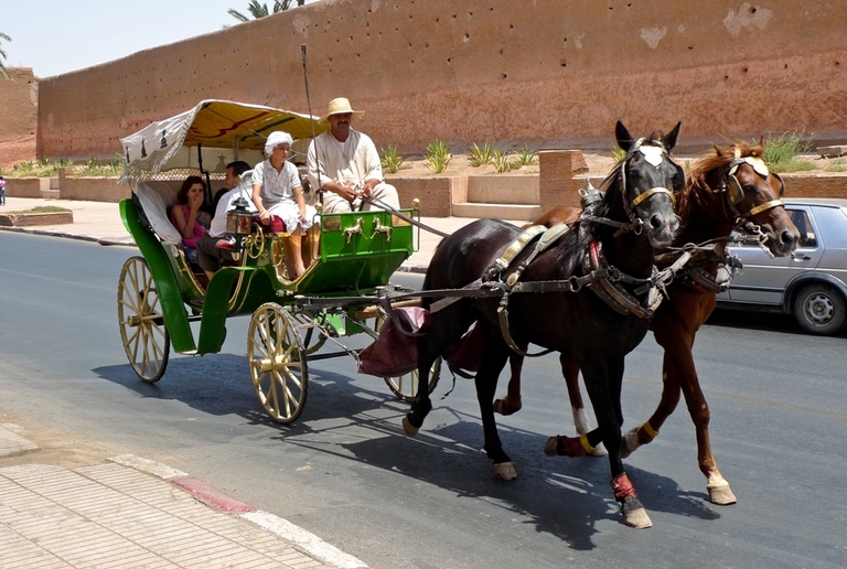 Paard en wagen Marrakech Marokko