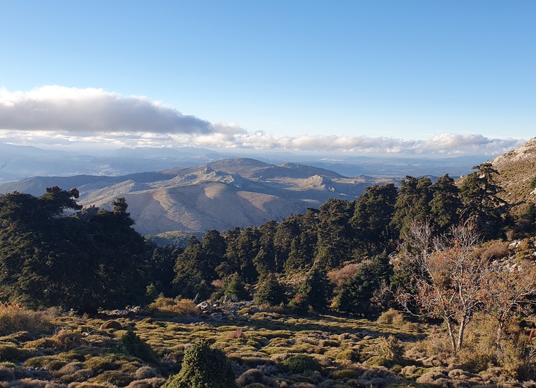 Sierra de las Nieves