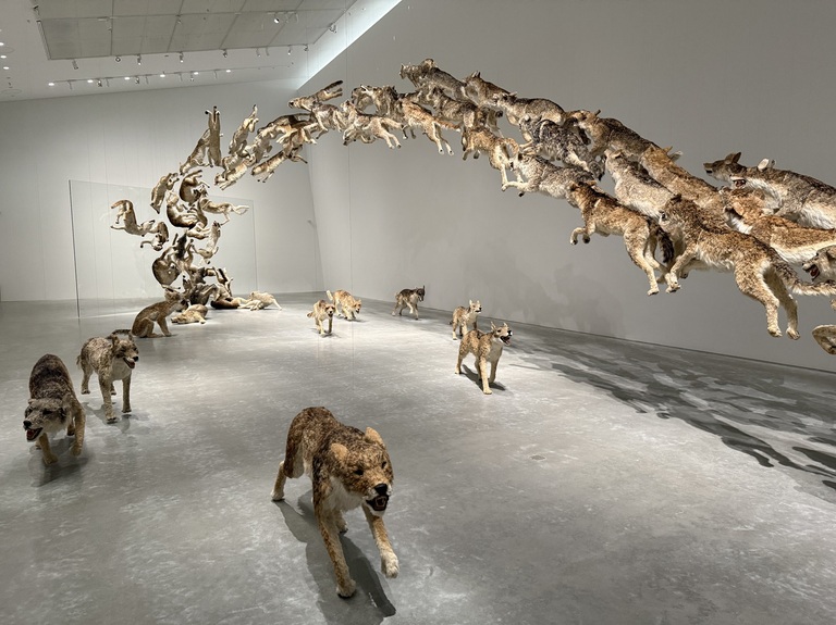 Naoshima art Japan