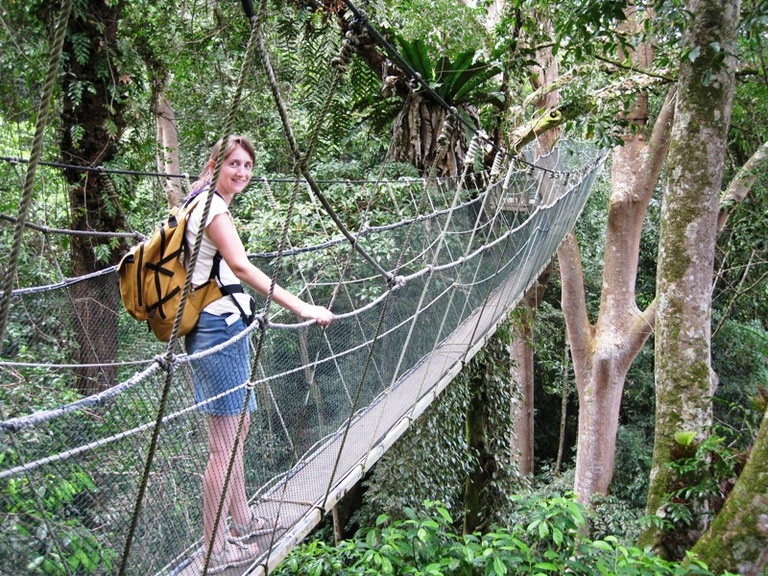 Maleisie Djoser rondreis canopy walk