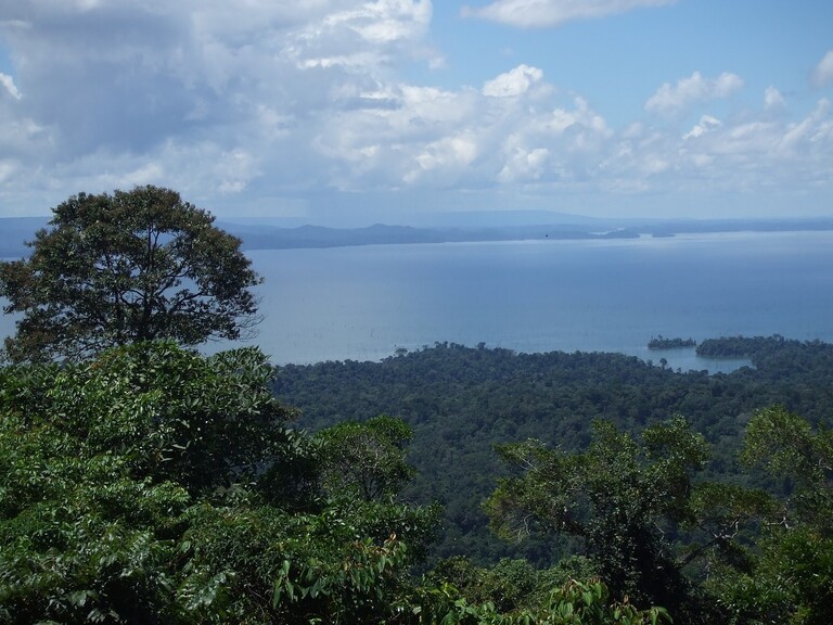 Brownsberg Suriname