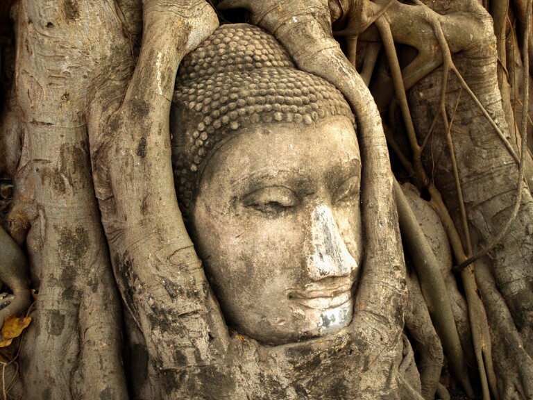 Hoofd van de Boeddha in Ayutthaya Hoofd van de Boeddha in Ayutthaya