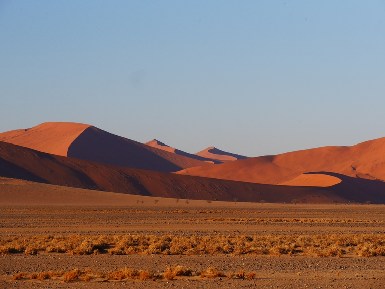 Woestijn Namibië