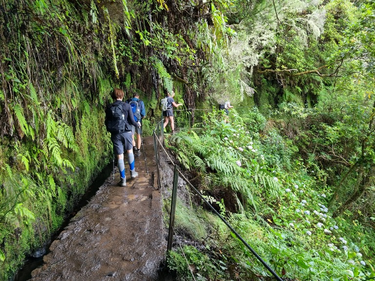 Wandelen cloud forrest Madeira
