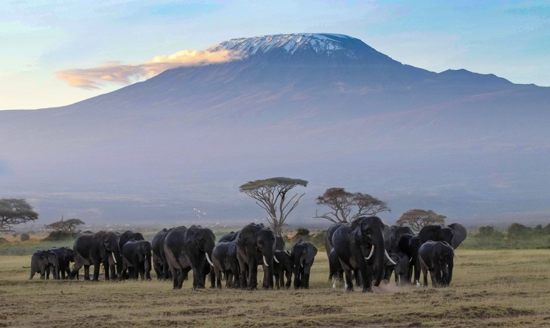 Reisverslag: Kenia - Tanzania