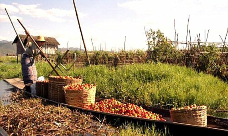 Inlemeer: een bijzondere plek in Myanmar