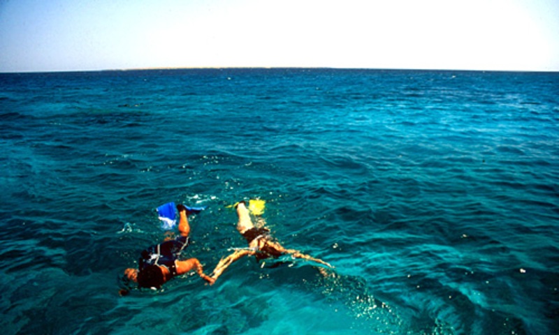 Egypte: duik- en snorkelparadijs