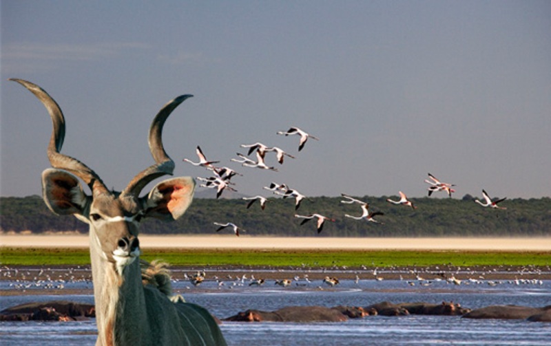 Het andere gezicht van Zuid-Afrika