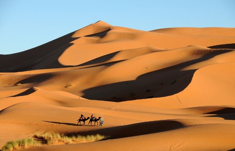 Op een kameel door de Sahara