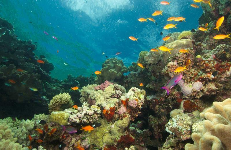 Great Barrier Reef