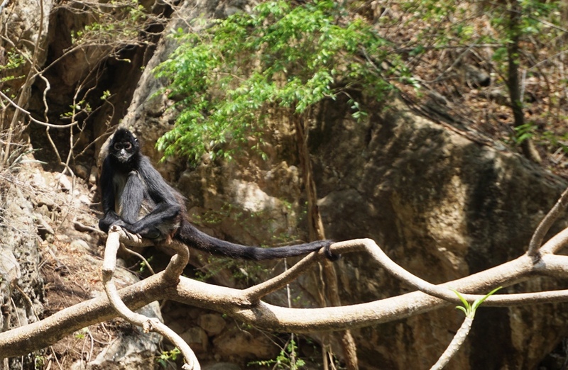 Een dag in Chiapas, Mexico: krokodillen, traditionele dorpjes en internet