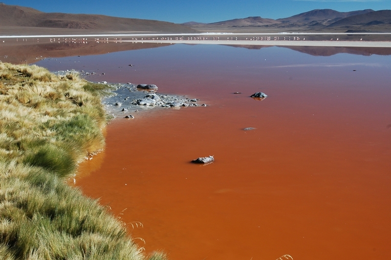 Jeepsafari tussen Bolivia en Chili