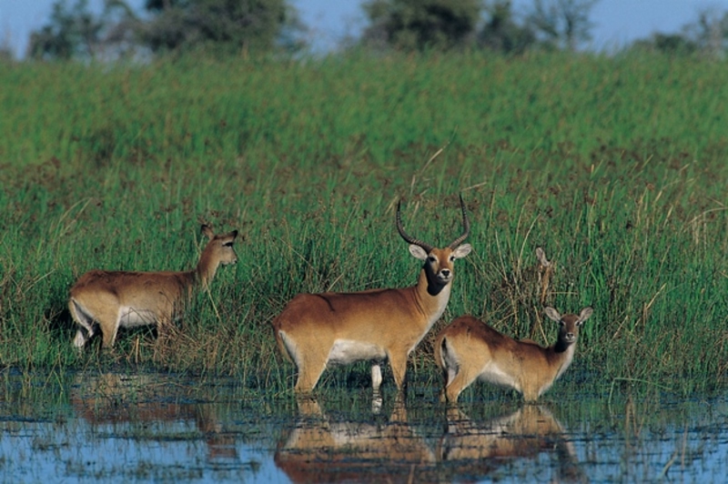 Reisverslag Zuid-Afrika, Namibië, Botswana & Zambia kampeerreis - 27 juli