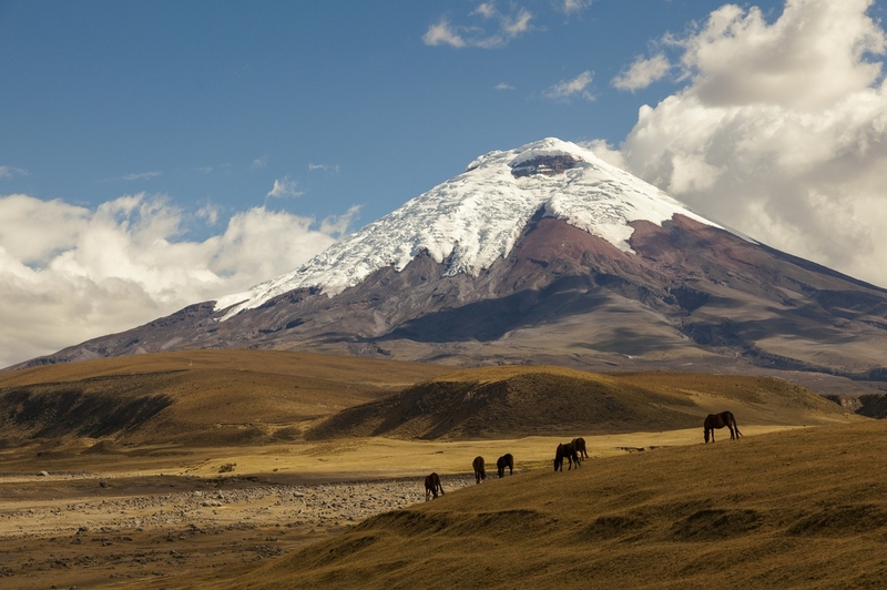 Langs de Ecuadoriaanse Avenue of the Volcanoes