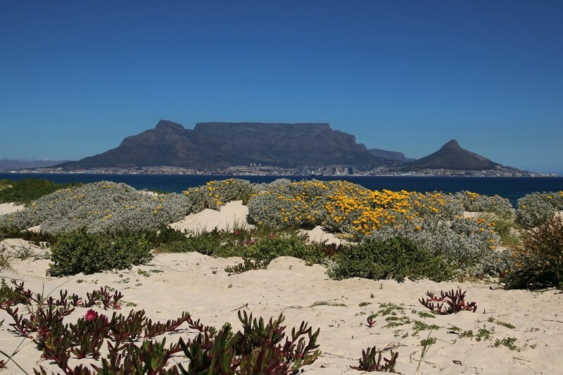 Reisverslag rondreis Zuid-Afrika, Namibië, Botswana & Victoria Watervallen