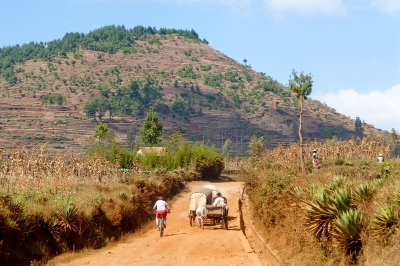  Madagascar, fady of niet?