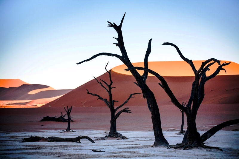 De drie hoogtepunten van Namibië