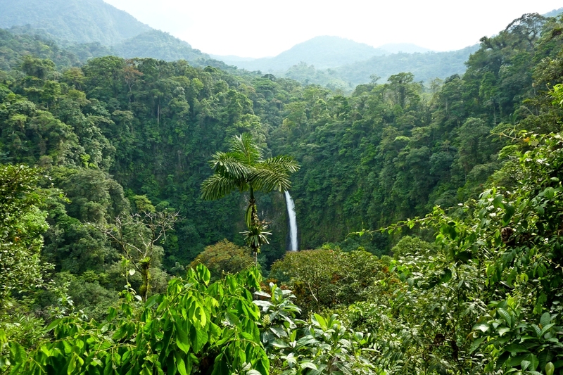 Reisverslag 14 dagen Costa Rica