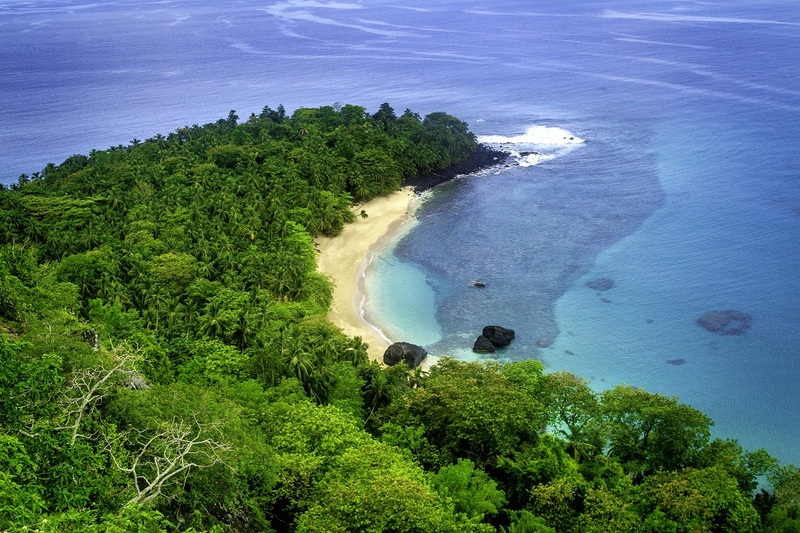 De bijzondere flora en fauna van São Tomé en Principe