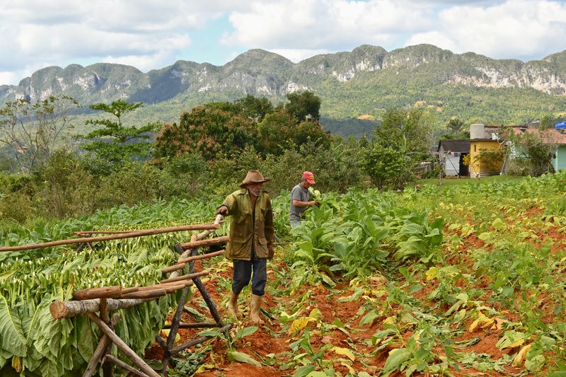 In Viñales is van alles te doen