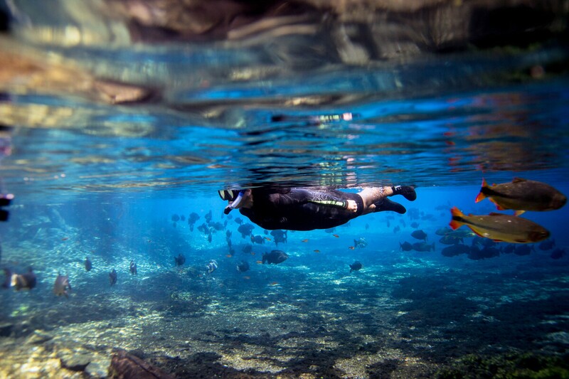 Snorkelen op reis: tips & tricks voor een onvergetelijke ervaring