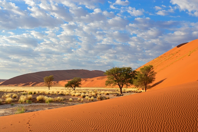 Namibië: het land van de overweldigende landschappen