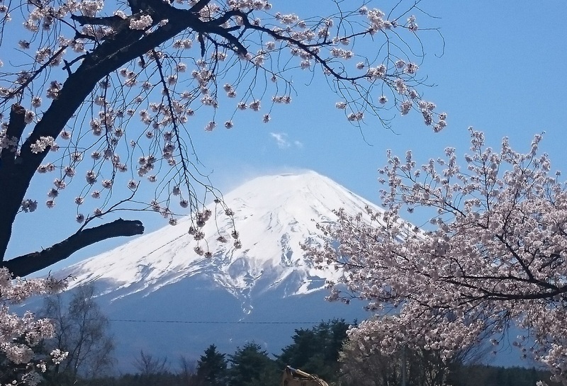 Reisverslag Winterreis Japan