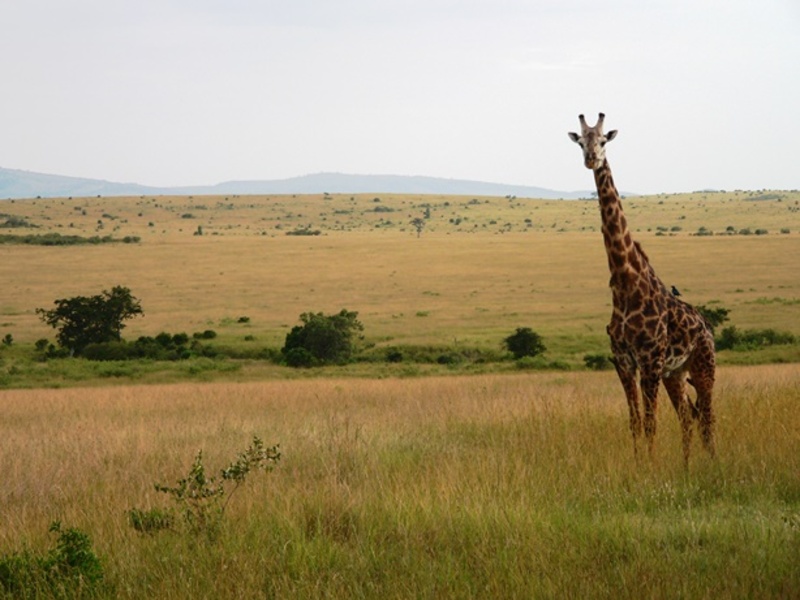 Reisverslag kampeerreis Kenia en Tanzania juli