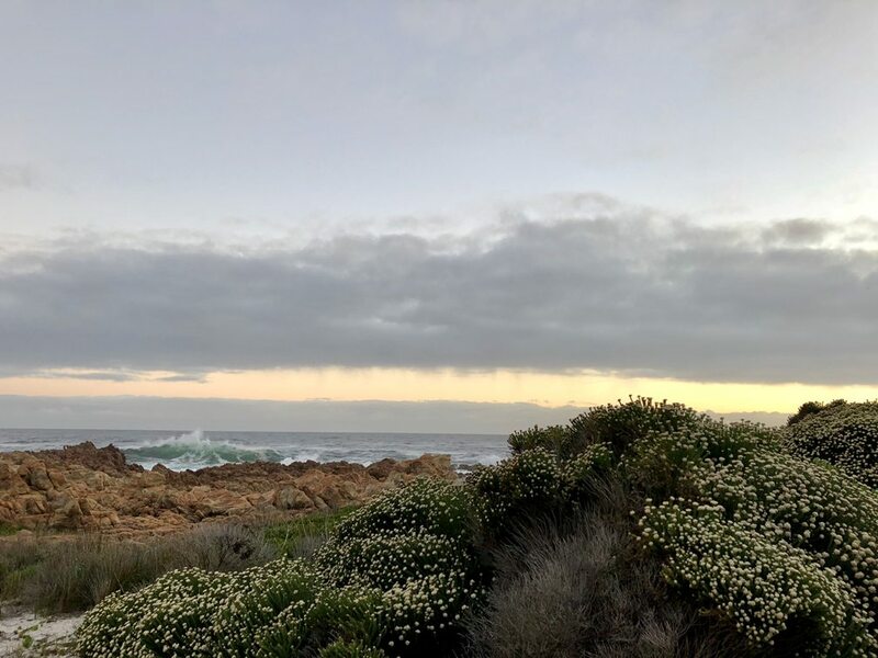 23 dagen in Zuid Afrika