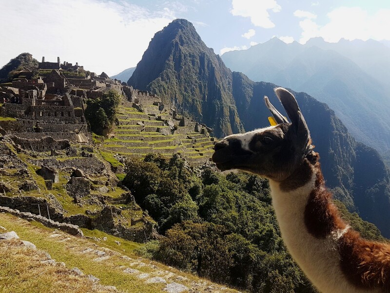 Inca Kola