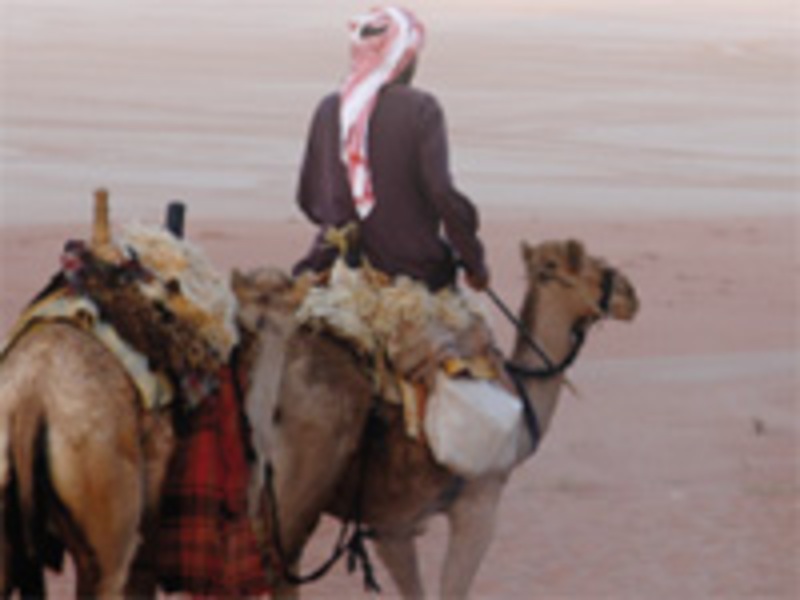 Een dikke week Jordanië