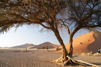 Namib-Naukluft National Park Namibië Sossusvlei Djoser