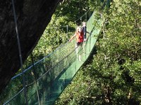 Hangbrug Costa Rica Natuur Wandel en Fiets Djoser
