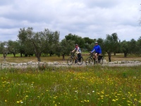 Fietsen Puglia Italie