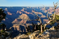 Amerika VS Djoser Grand Canyon uitzicht