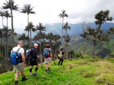 Djoser groep loopt in de Cocora Vallei Colombia