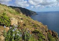Ponta do Pargo kliffen Madeira
